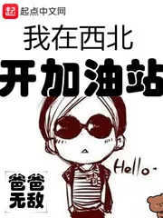 《我在西北开加油站》小说封面