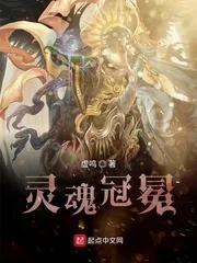 《灵魂冠冕》小说封面