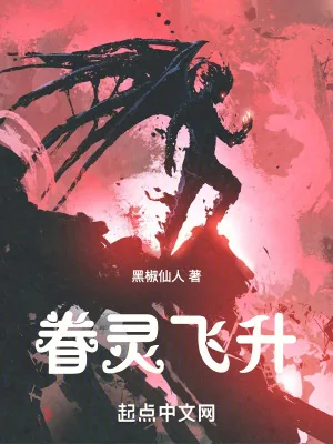 《眷灵飞升》小说封面