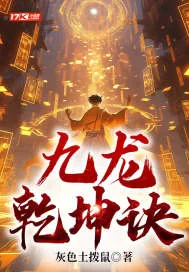 《九龙乾坤诀》小说封面