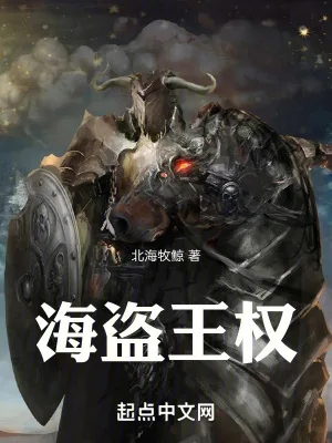 《海盗王权》小说封面