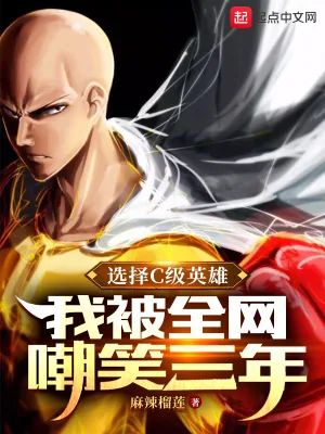 《选择C级英雄,我被全网嘲笑三年》小说封面