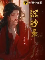 《沉砂录》小说封面
