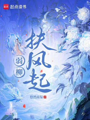 《弱柳扶风起》小说封面