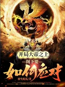 《开局大帝之上,阁下要如何应对》小说封面