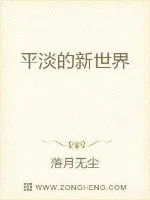 《平淡的新世界》小说封面