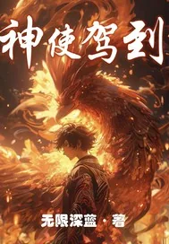《神使驾到》小说封面