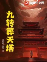 《九转葬天塔》小说封面