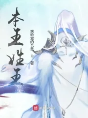 《本王姓王》小说封面
