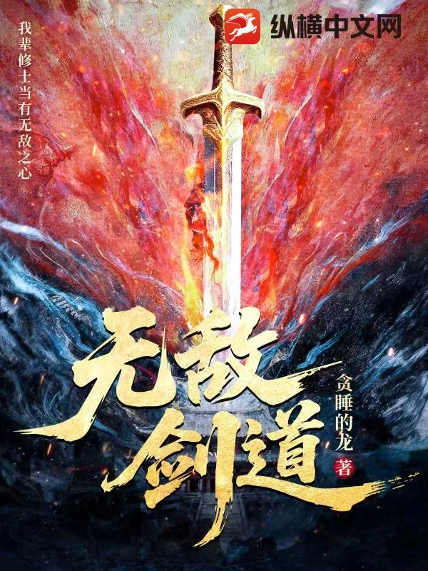 《无敌剑道》小说封面
