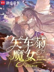 《矢车菊魔女》小说封面