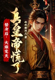 《替身后，大雍变天，真皇帝慌了！》小说封面