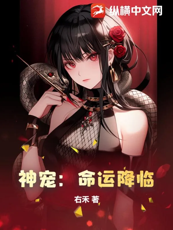 《神宠:命运降临》小说封面