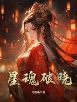 《星魂破晓》小说封面