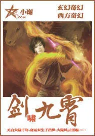 《剑啸九霄》小说封面