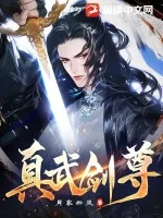 《真武剑尊》小说封面