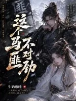 《这个马匪不对劲》小说封面