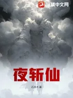 《夜斩仙》小说封面