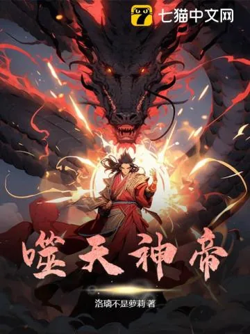 《噬天神帝》小说封面