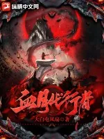 《血月代行者》小说封面