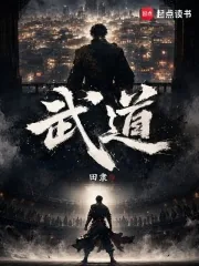 《武道！》小说封面