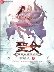 《我家老婆可能是圣女》小说封面
