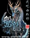 《盘龙》小说封面
