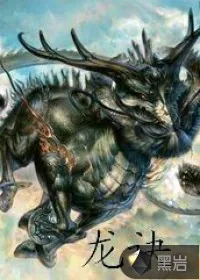 《龙诀》小说封面
