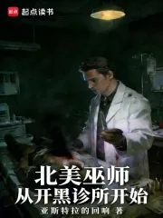 《北美巫师,从开黑诊所开始》小说封面