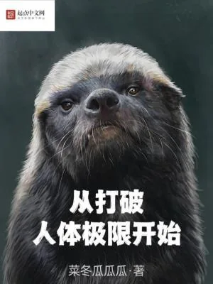 《从打破人体极限开始》小说封面