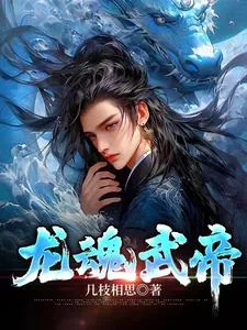 《龙魂武帝》小说封面