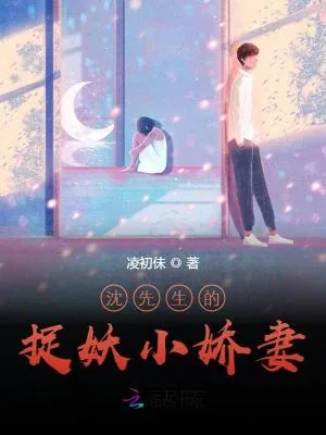 《沈先生的捉妖小娇妻》小说封面