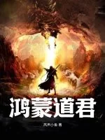 《鸿蒙道君》小说封面