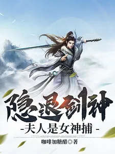 《隐退剑神：夫人是女神捕》小说封面