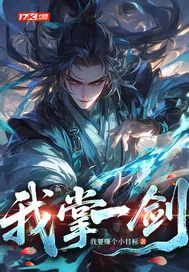 《我掌一剑》小说封面