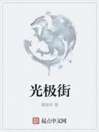 《光极街》小说封面