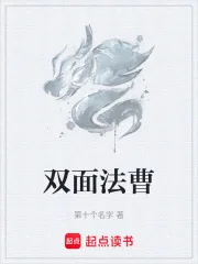 《双面法曹》小说封面