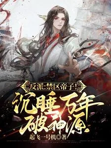 《反派:禁区帝子!沉睡万年破神源》小说封面
