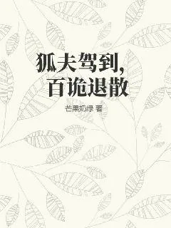 《狐夫驾到，百诡退散》小说封面