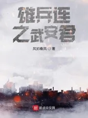 《雄兵连之武安君》小说封面