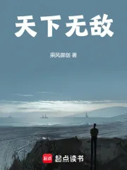 《天下无敌！》小说封面