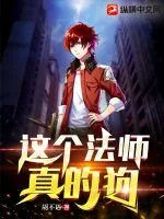 《这个法师真的狗》小说封面