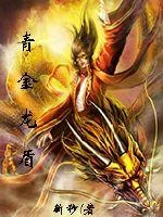 《青金龙盾》小说封面