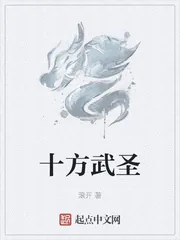 《十方武圣》小说封面