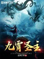 《九霄圣主》小说封面