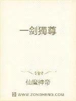 《一叶剑歌》小说封面