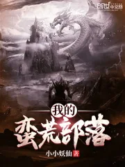 《我的蛮荒部落》小说封面