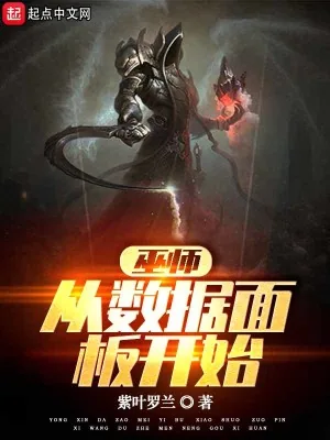 《巫师：从数据面板开始》小说封面