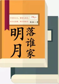 《明月落谁家》小说封面
