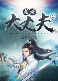 《龙婿大丈夫2》小说封面